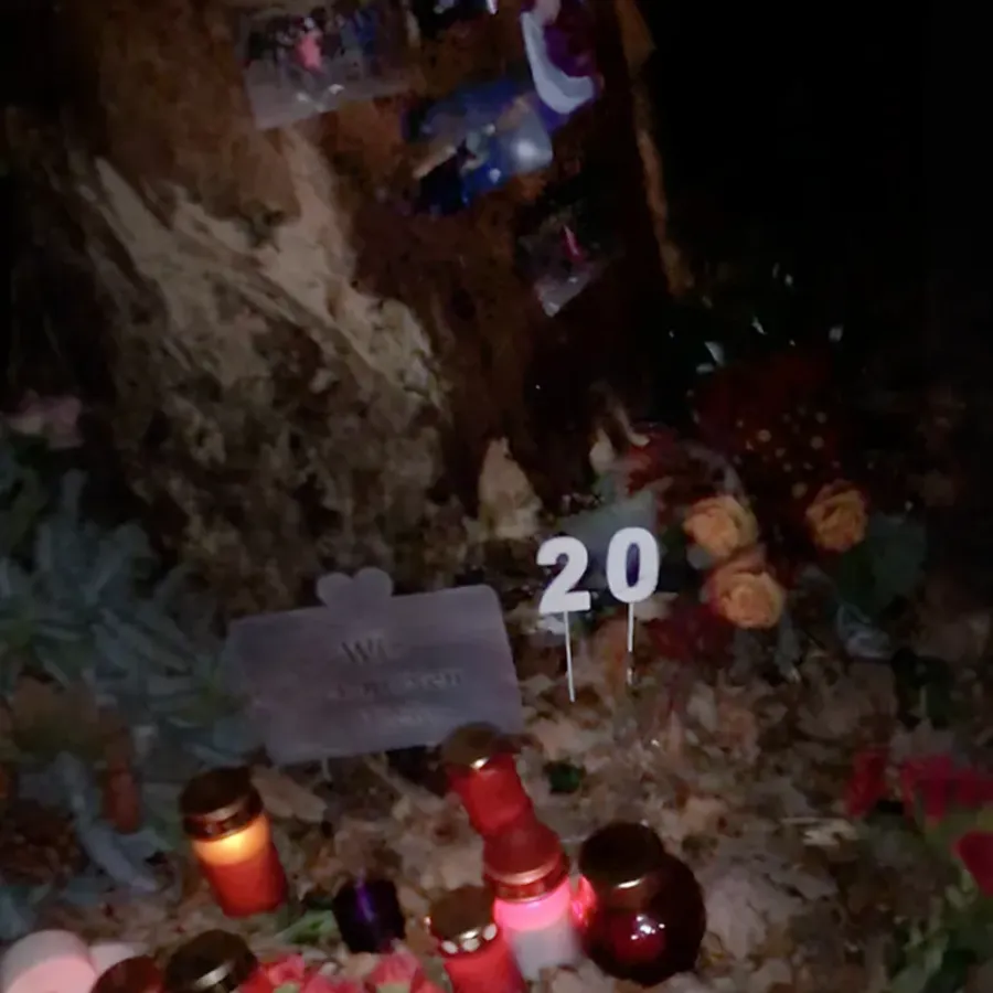 Candles, flowers, photos and a small number 20 left at a tree